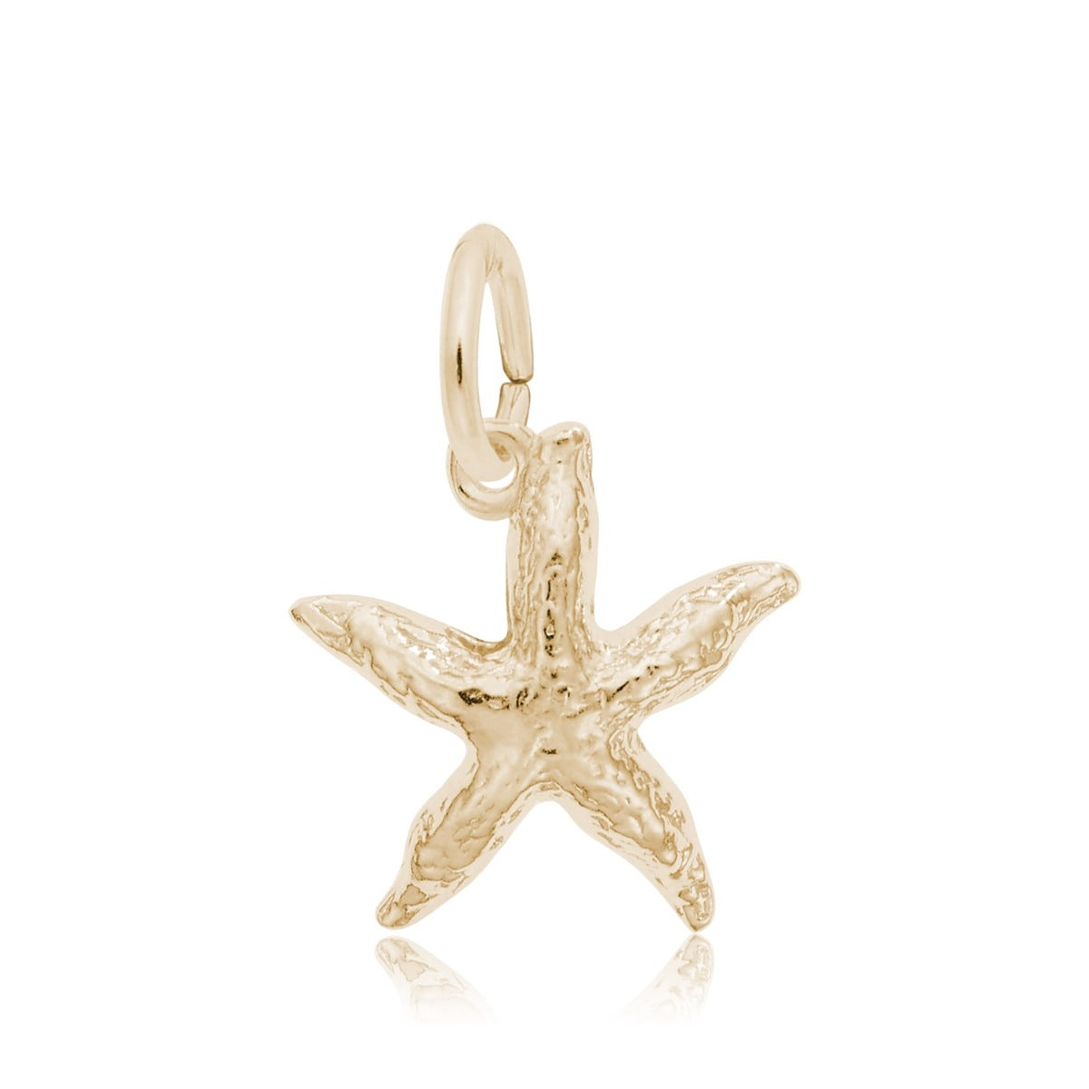 Starfish Charm in 14K Yellow Gold