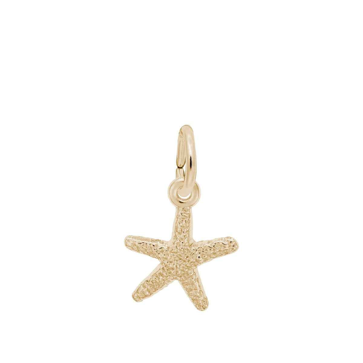 Starfish Charm in 14K Yellow Gold