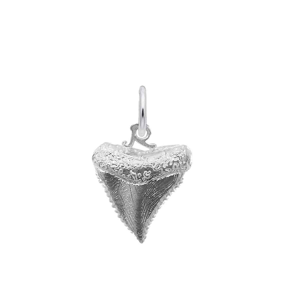 Shark Tooth Charm in Sterling Silver