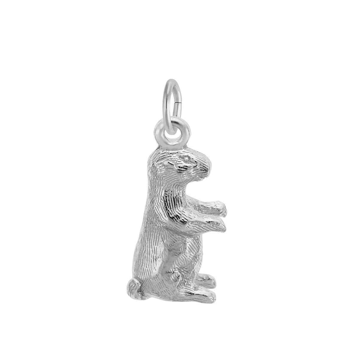 Groundhog Charm in Sterling Silver