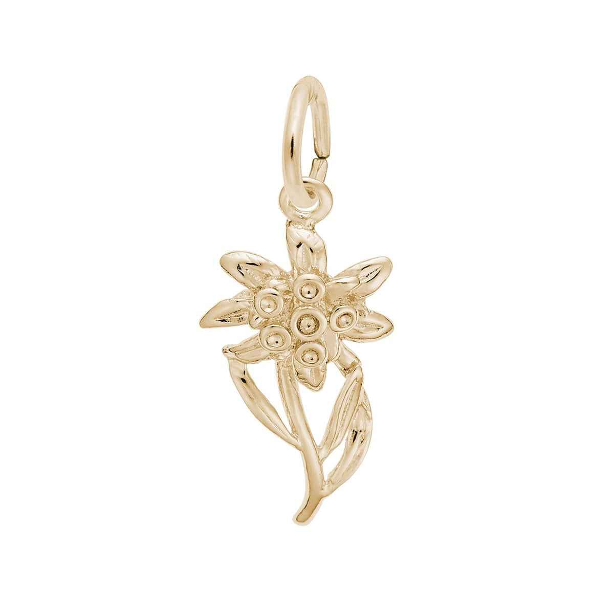 Edelweiss Charm in 14K Yellow Gold