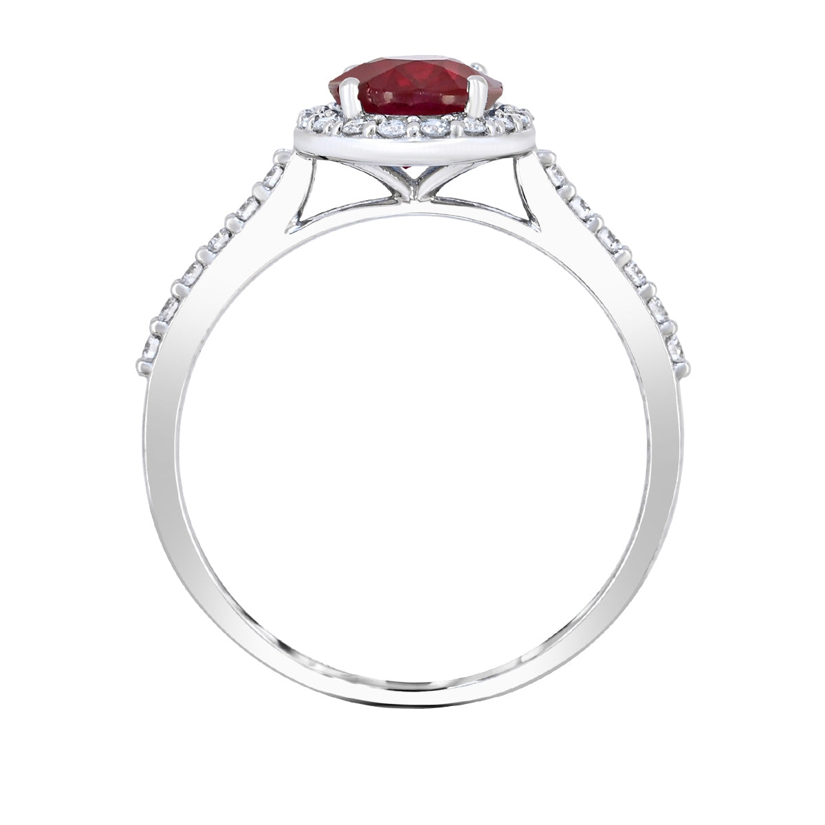 Oval Ruby & 1/3 ct. tw. Diamond Halo Ring in 14K White Gold close-up detail