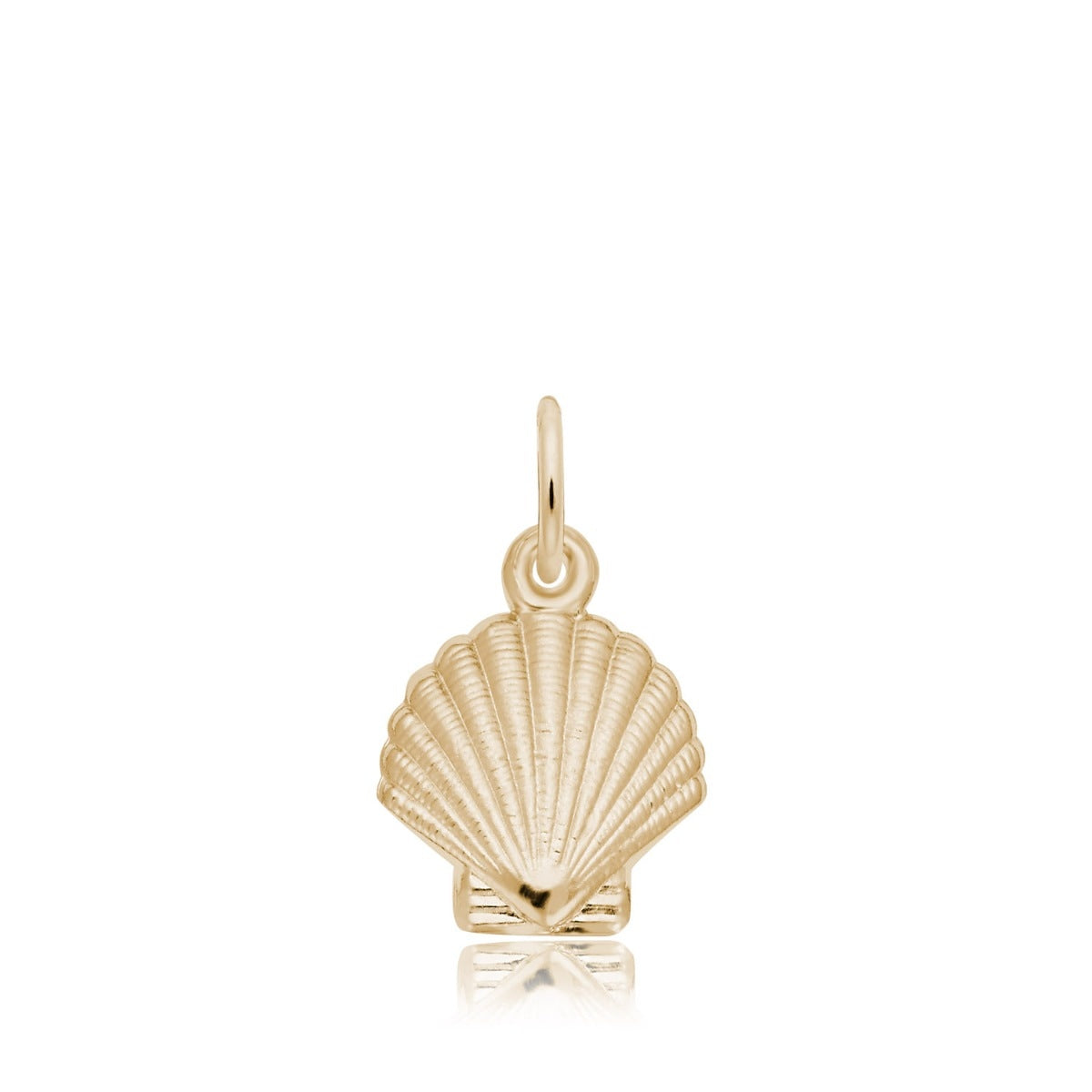 Clamshell Charm in 14K Yellow Gold
