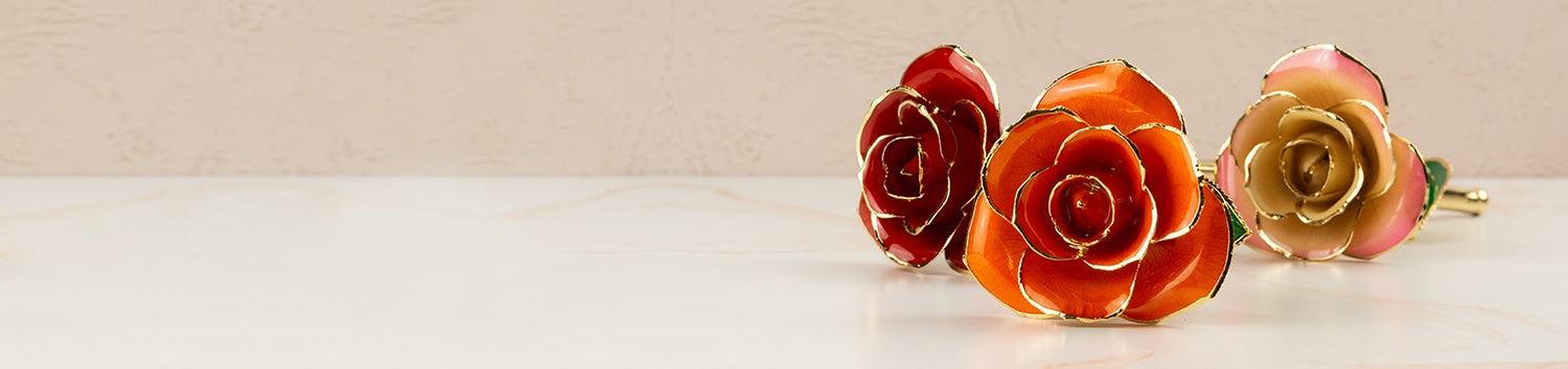 24K Gold Dipped Roses collection at Riddle's Jewelry