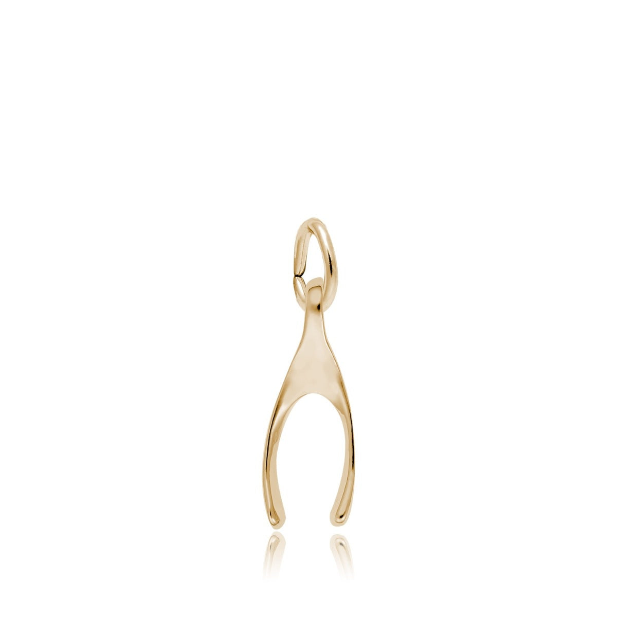 Wishbone Charm in 14K Yellow Gold