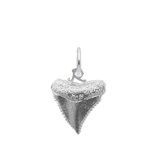 Shark Tooth Charm in Sterling Silver