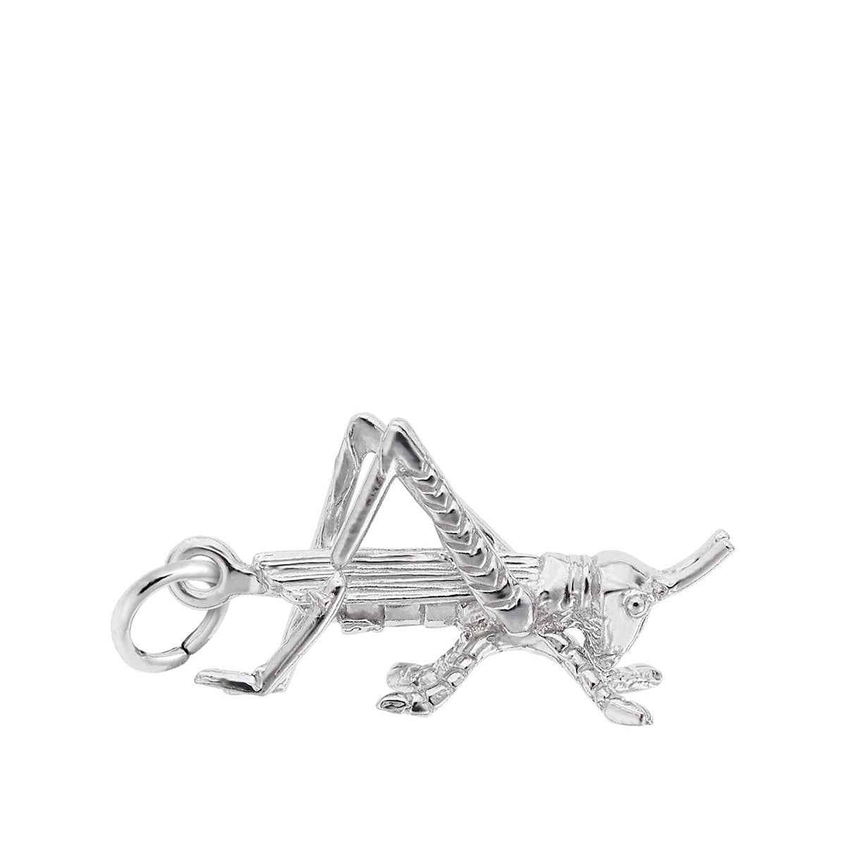 Grasshopper Charm in Sterling Silver