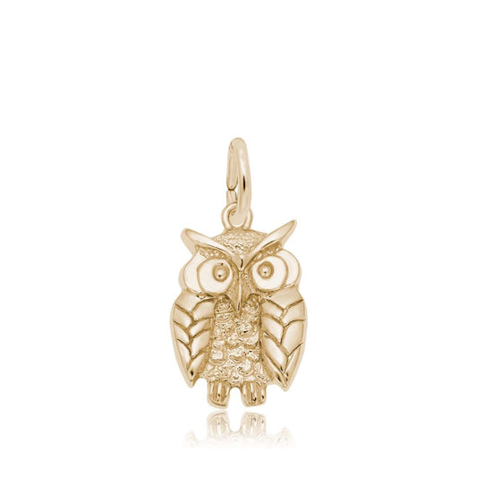 Wise Owl Charm in 14K Yellow Gold