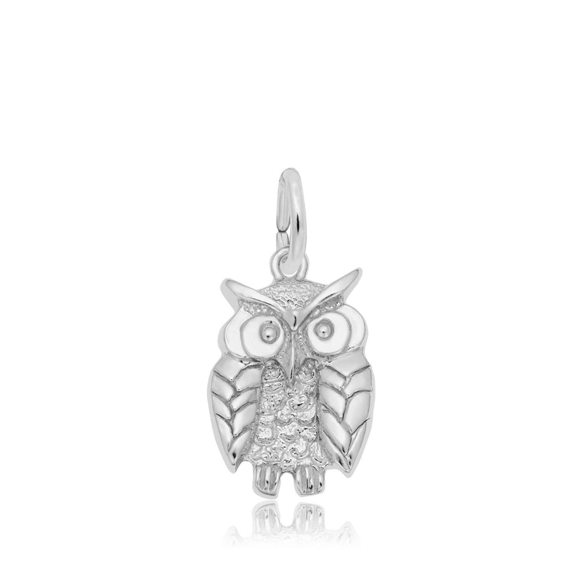 Wise Owl Charm in Sterling Silver