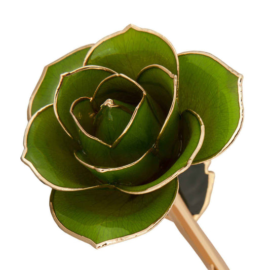 24K Gold Dipped Mossy Green Rose