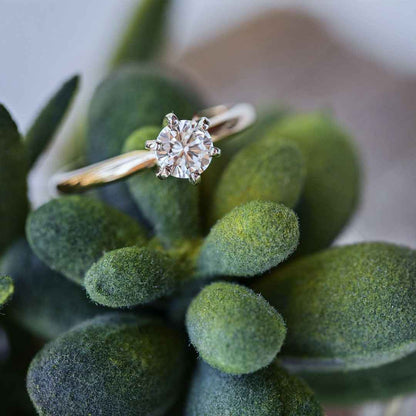 3/4 ct. tw. Round Brilliant Diamond Solitaire Engagement Ring in 14K Yellow Gold - S 1475DN front view