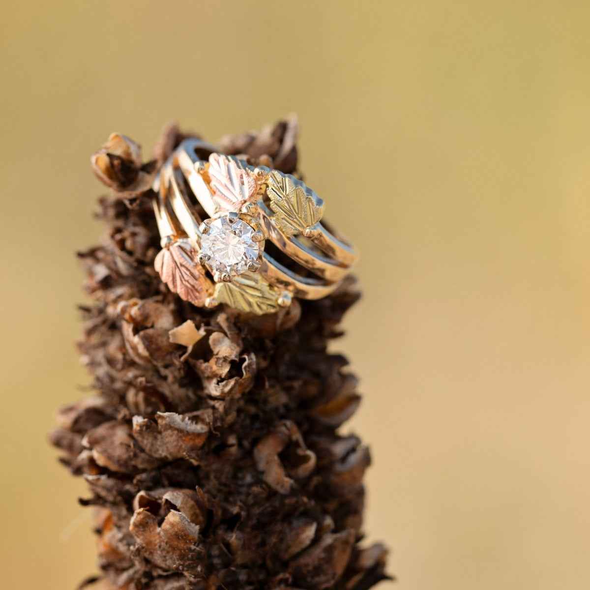 Noventa & Black Hills Gold 3/4 ct. tw. Round Diamond Solitaire Engagement Ring in 10K Yellow Gold front view