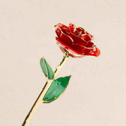 24K Gold Dipped Ravishing Red Rose front view