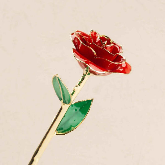 24K Gold Dipped Ravishing Red Rose front view