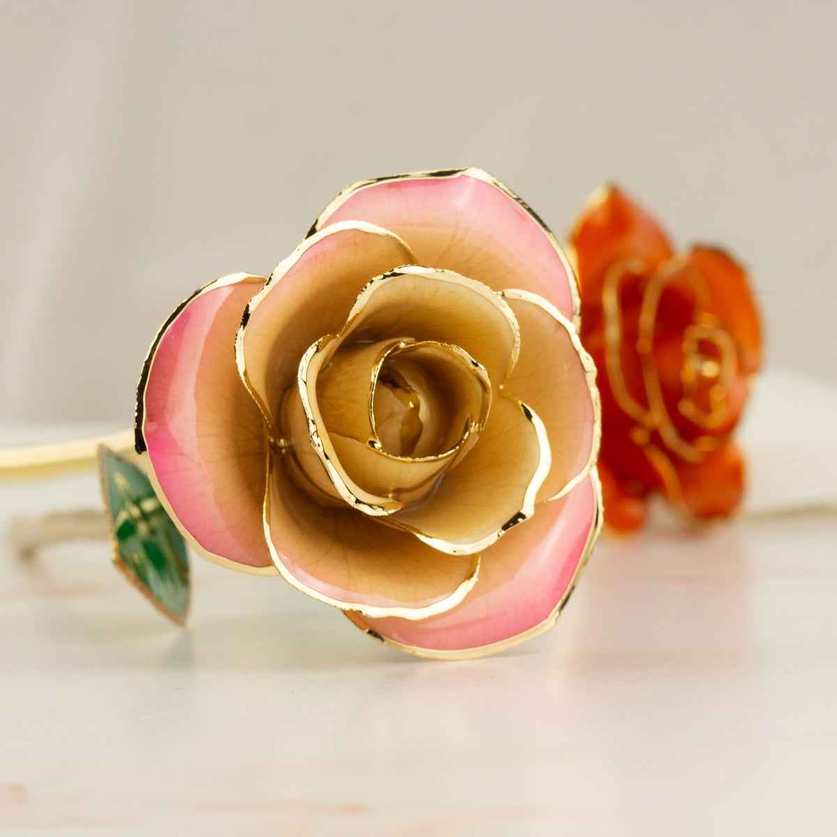 24K Gold Dipped Blushed Pink Rose front view