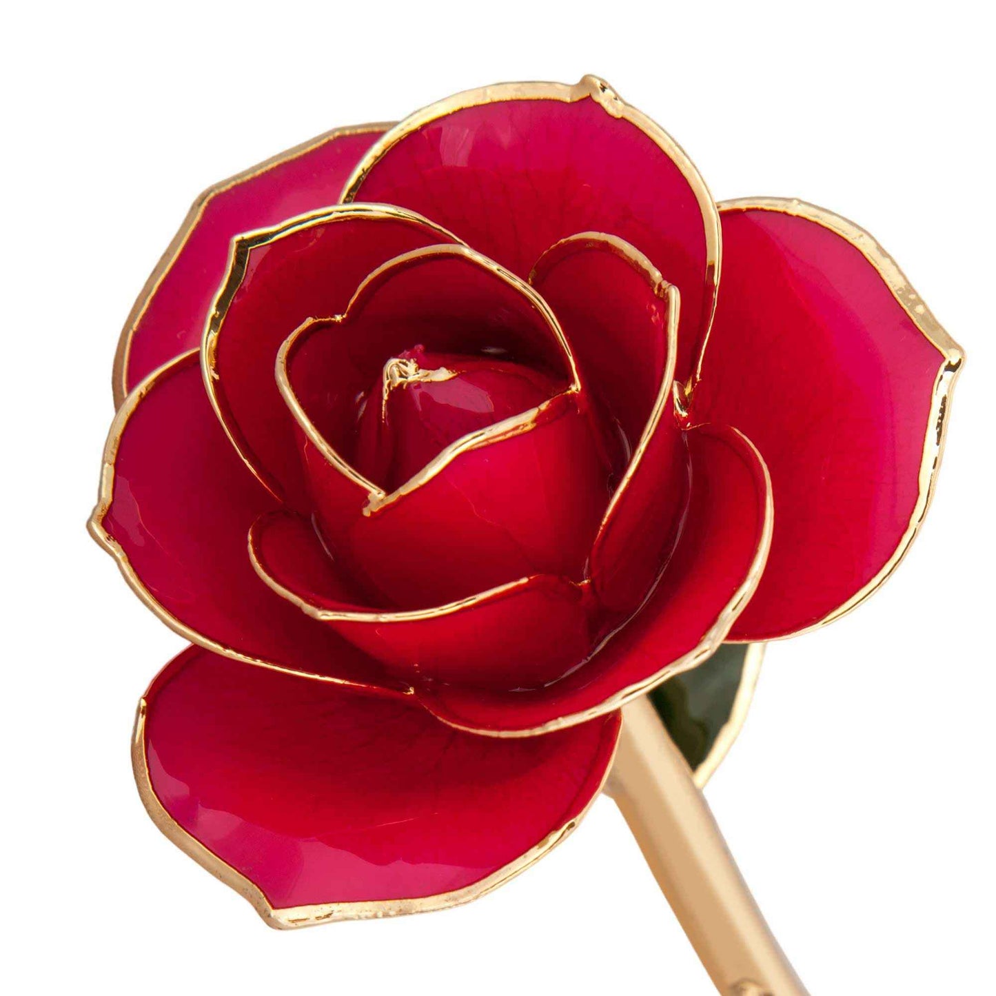 24K Gold Dipped Luscious Pink Rose