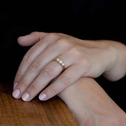 3/4 ct. tw. Round Brilliant Diamond 3-Stone Anniversary Ring in 14K Yellow Gold full view
