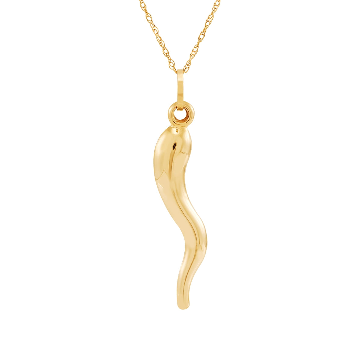 Italian Horn Pendant in 10K Yellow Gold