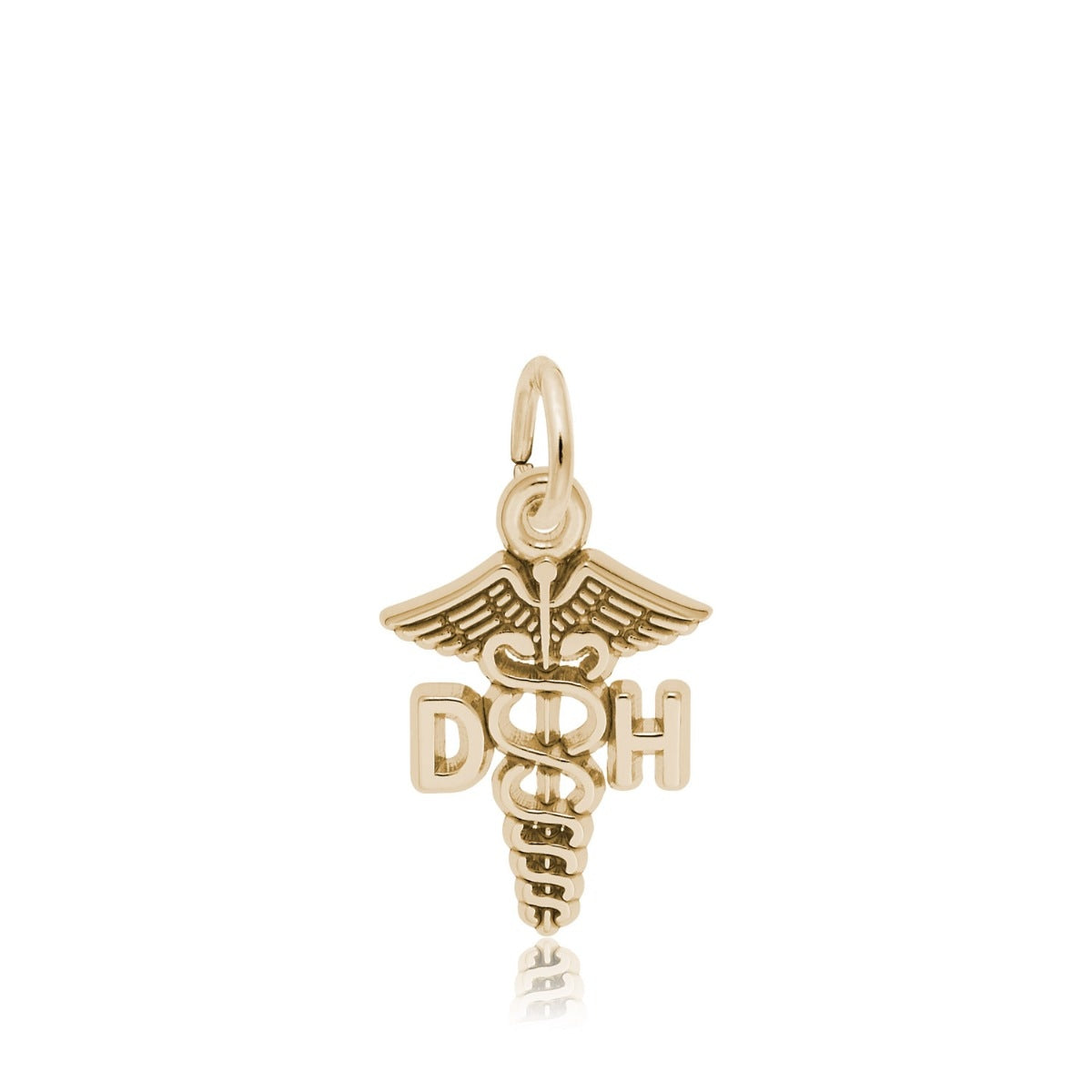 Dental Hygienist Caduceus Charm in 14K Yellow Gold
