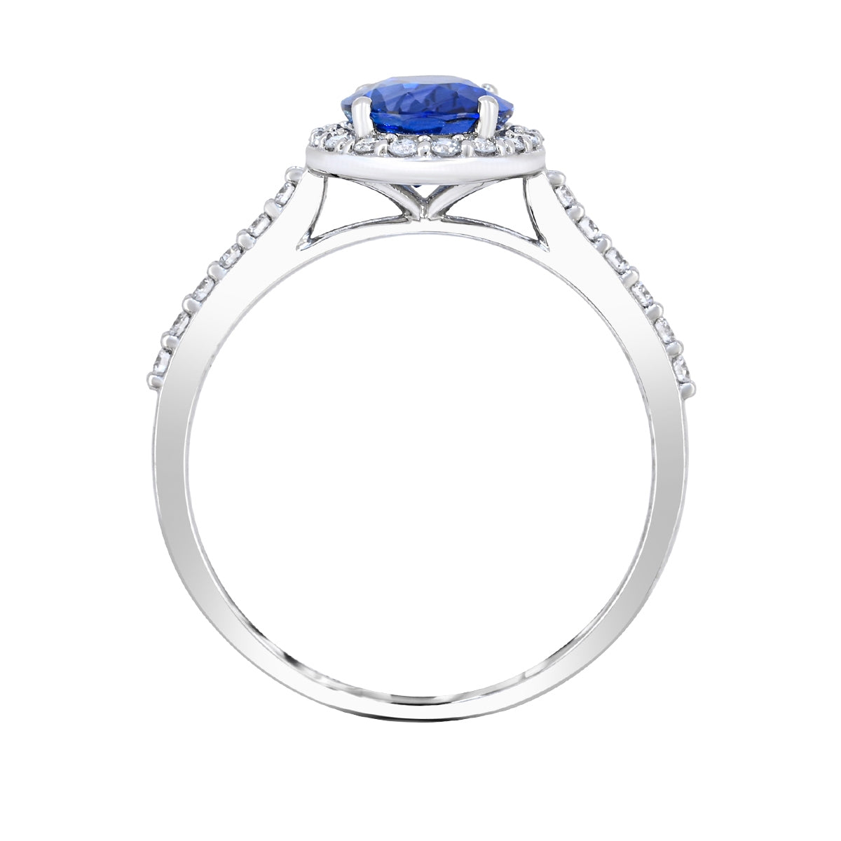 Oval Sapphire & 1/3 ct. tw. Diamond Halo Ring in 14K White Gold close-up detail
