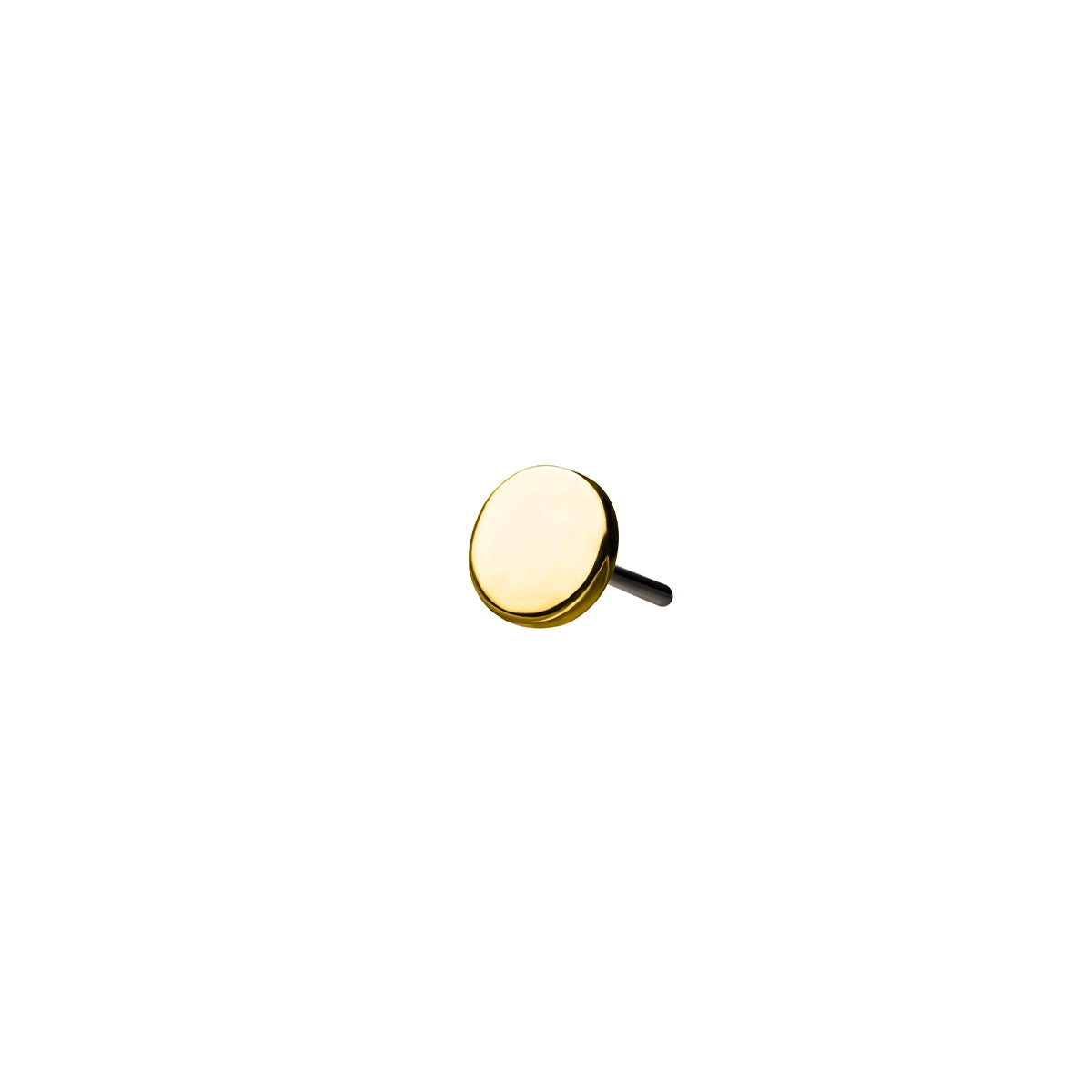 Revelry Polished Disc Topper in 14K Yellow Gold