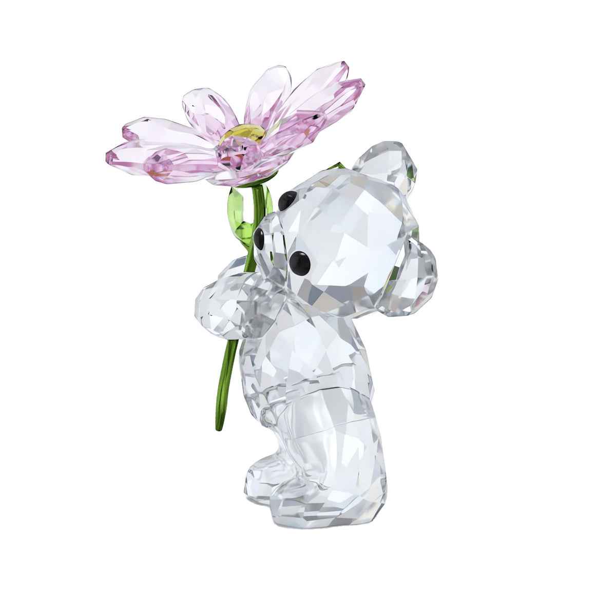 Swarovski Kris Bear A Daisy For You Figurine front view