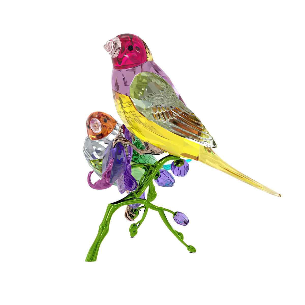 Swarovski Gouldian Idyllia Crystal Finch Figurine front view
