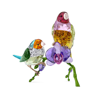 Swarovski Gouldian Idyllia Crystal Finch Figurine