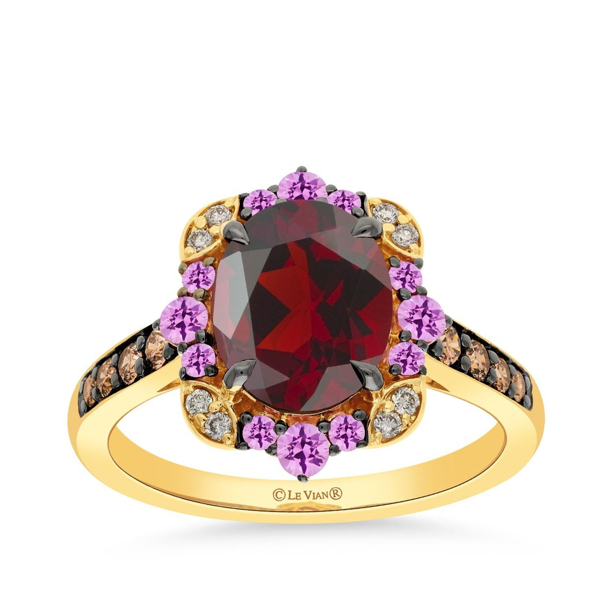 Le Vian Oval Garnet & 1/4 ct. tw. Chocolate & Nude Diamond & Pink Sapphire Halo Ring in 14K Honey Gold