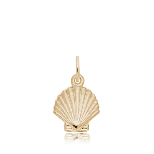 Clamshell Charm in 14K Yellow Gold