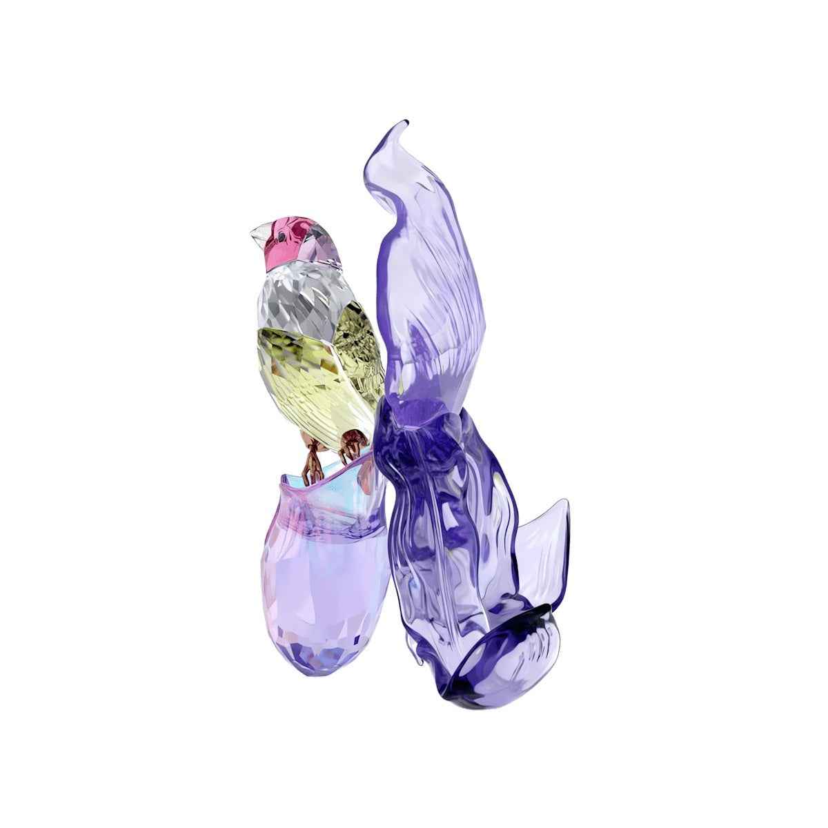 Swarovski Idyllia Gouldian Finch & Orchid Figurine front view
