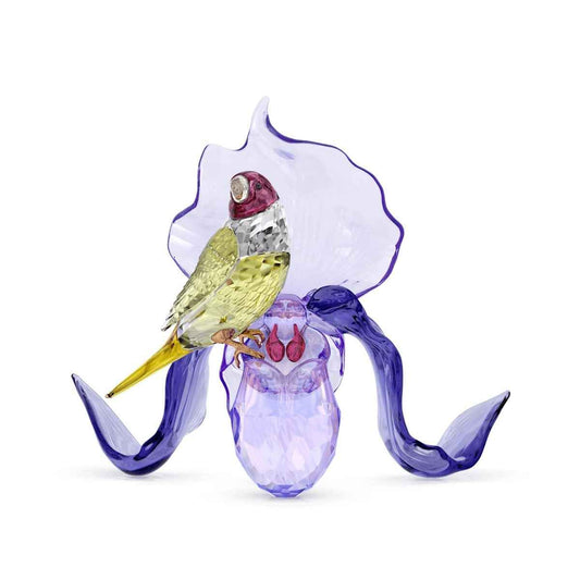 Swarovski Idyllia Gouldian Finch & Orchid Figurine