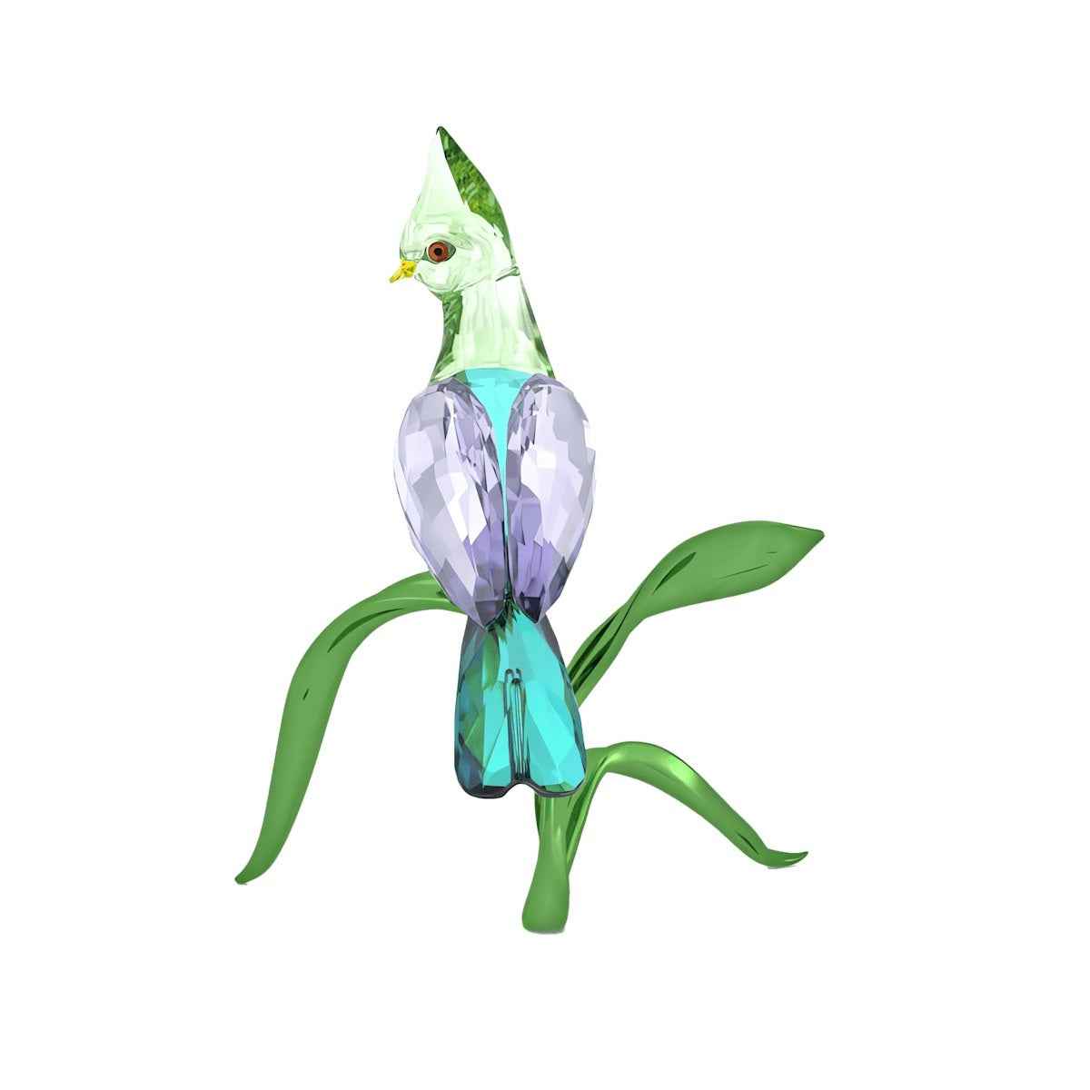 Swarovski Idyllia Green Turaco Figurine front view