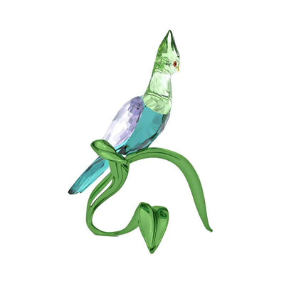 Swarovski Idyllia Green Turaco Figurine close-up detail