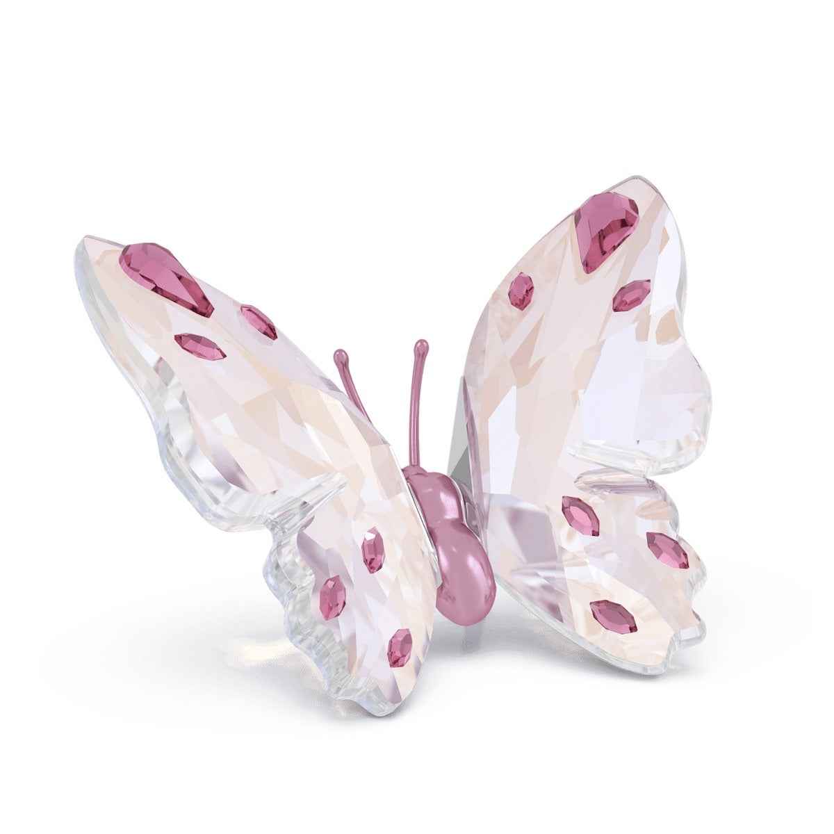Swarovski Small Idyllia Butterfly Figurine