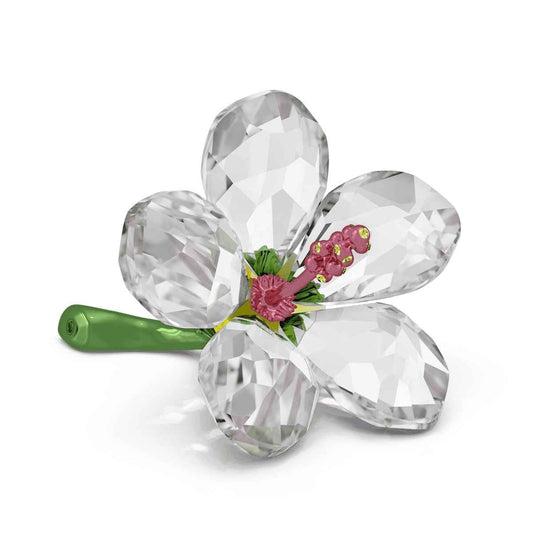 Swarovski Small Florere Hibiscus Figurine