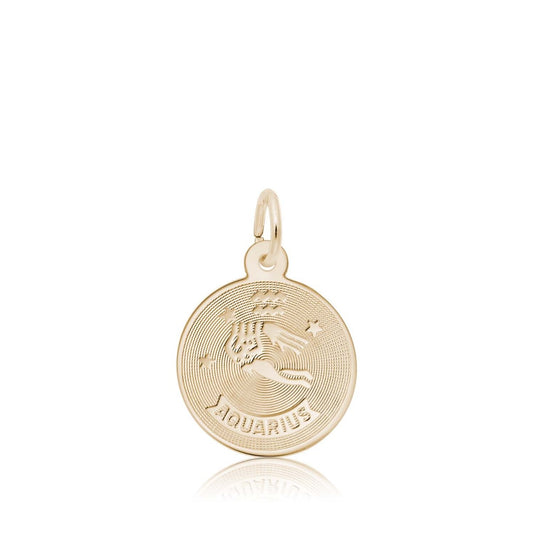 Aquarius Disc Charm in 14K Yellow Gold