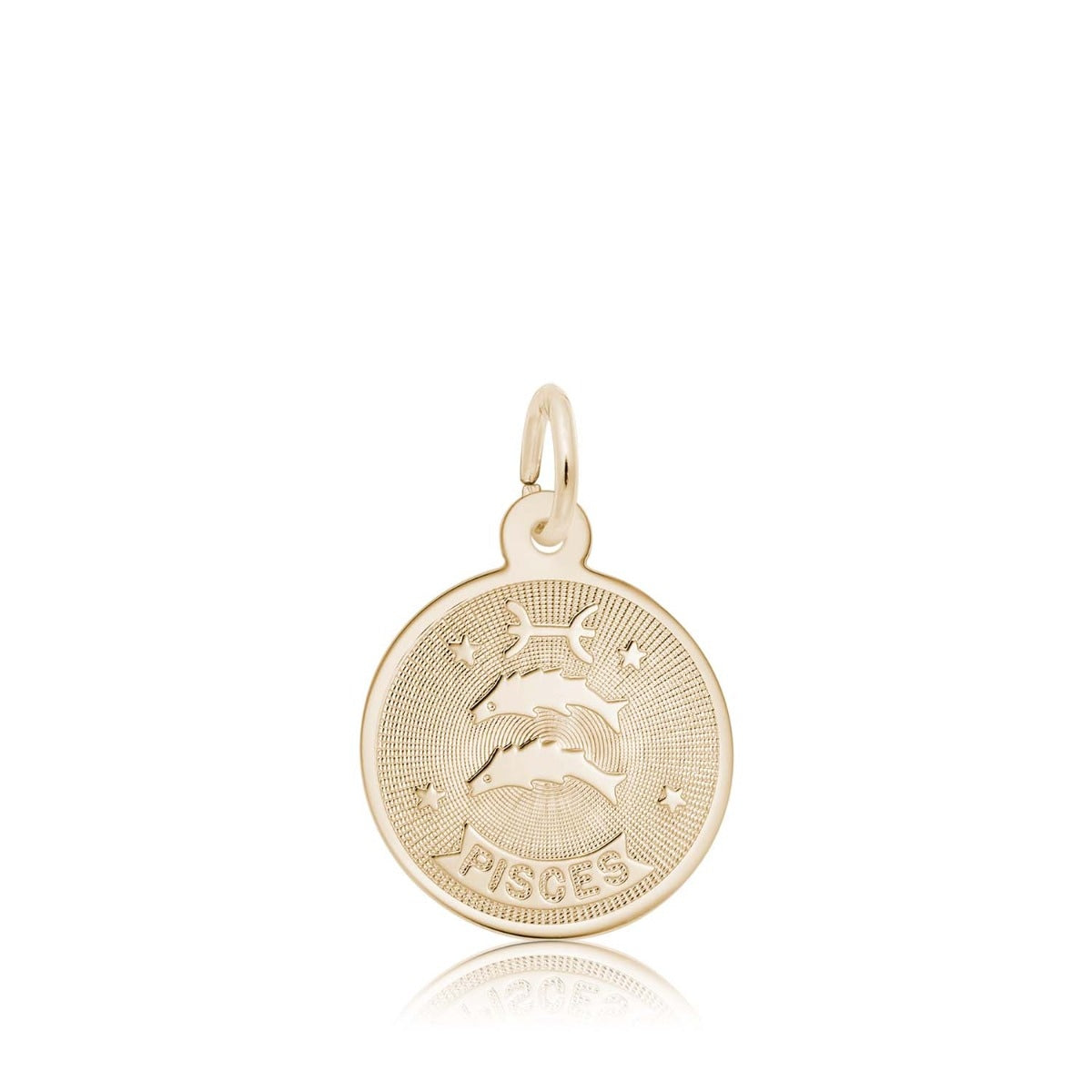 Pisces Disc Charm in 14K Yellow Gold