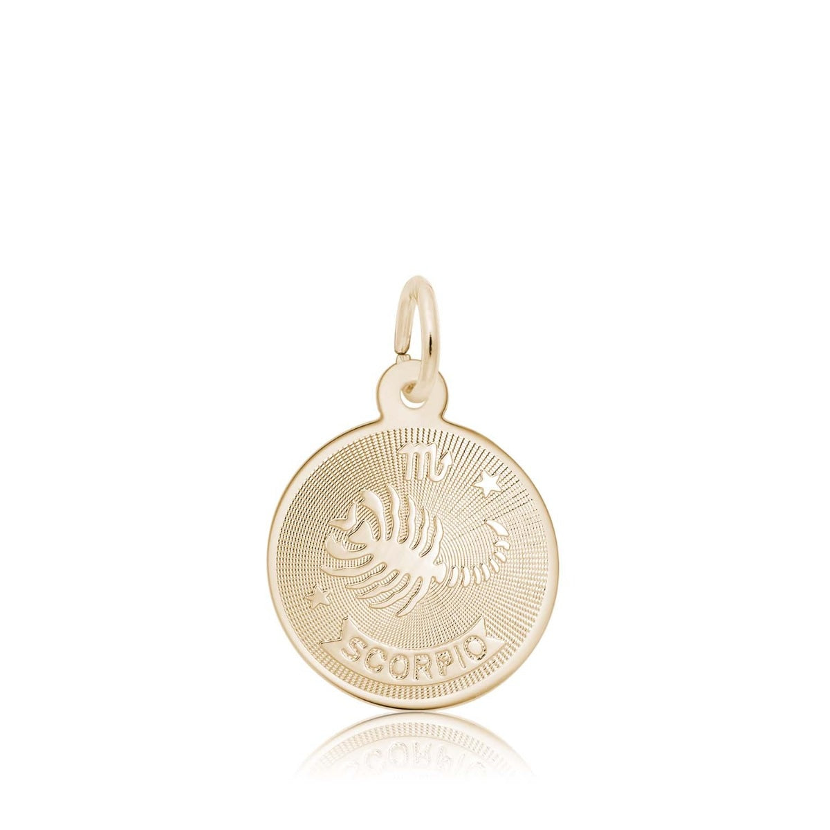 Scorpio Disc Charm in 14K Yellow Gold