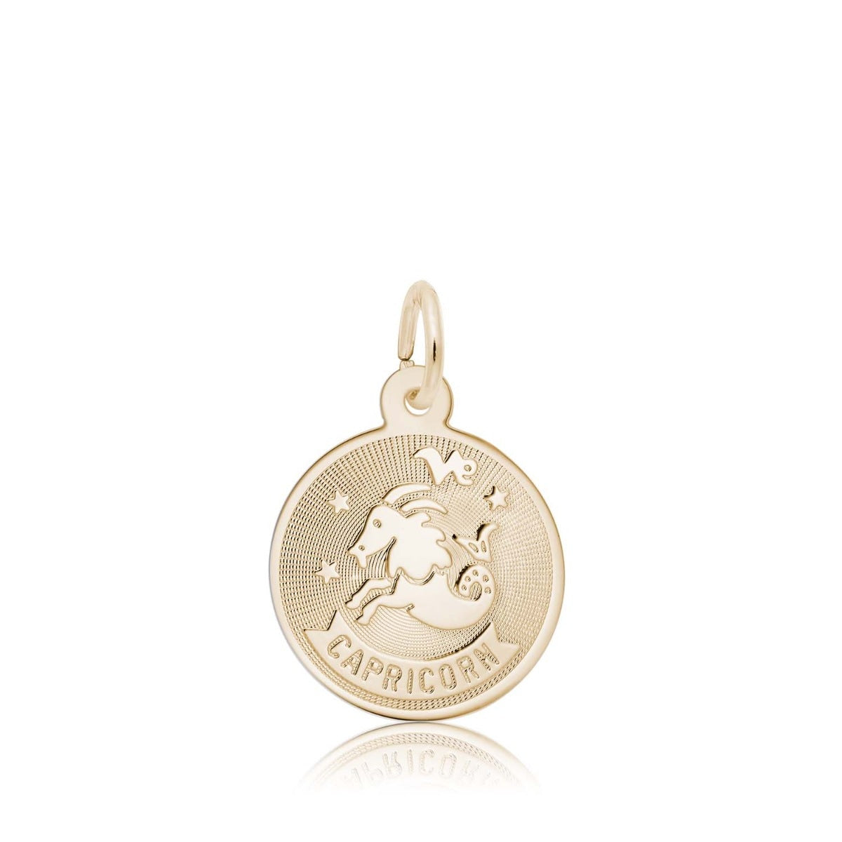 Capricorn Disc Charm in 14K Yellow Gold