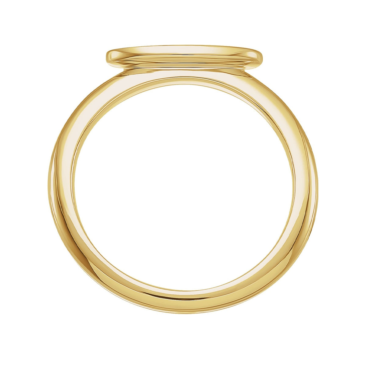 Oval Signet Ring in 14K Yellow Gold front view