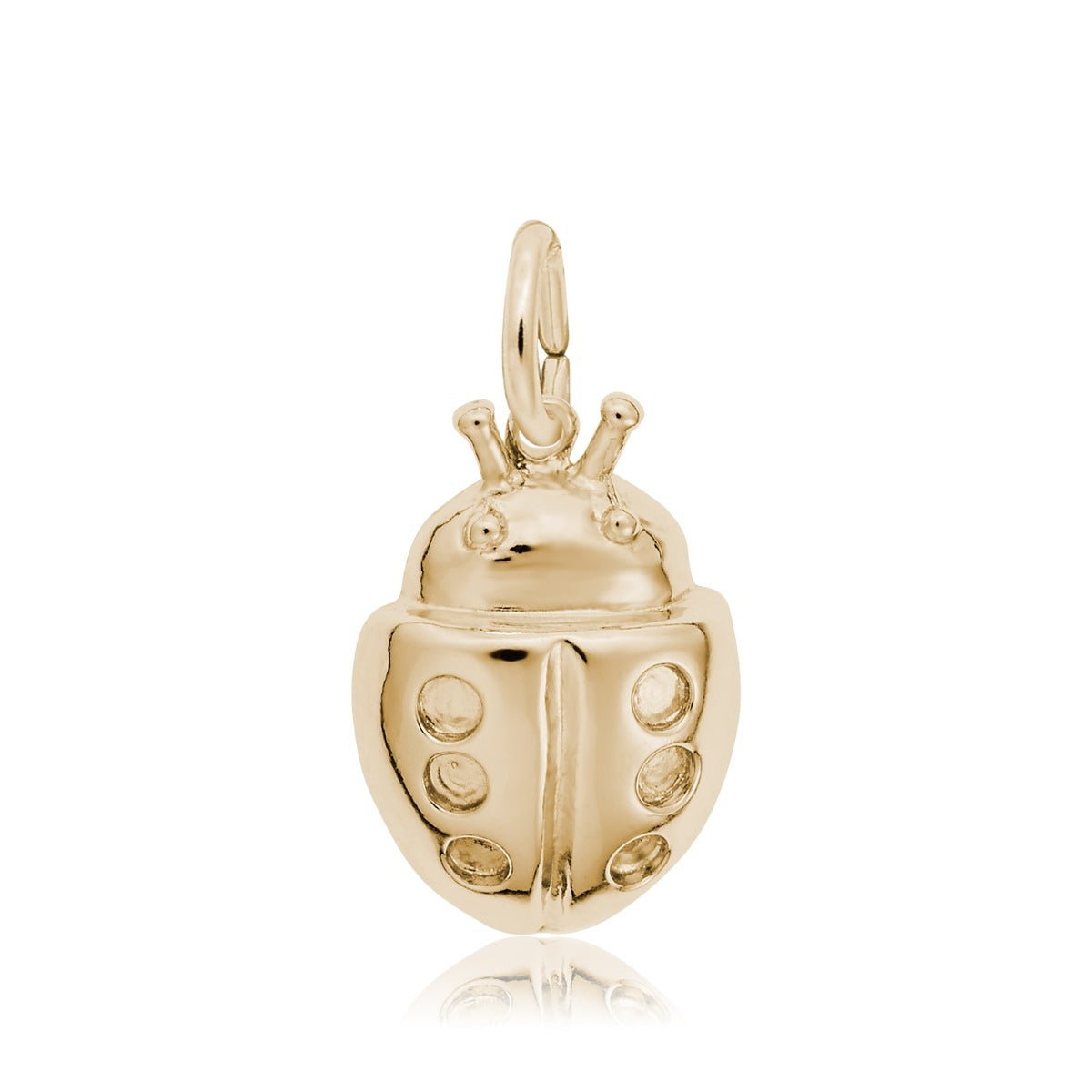 Lucky Ladybug Charm in 14K Yellow Gold