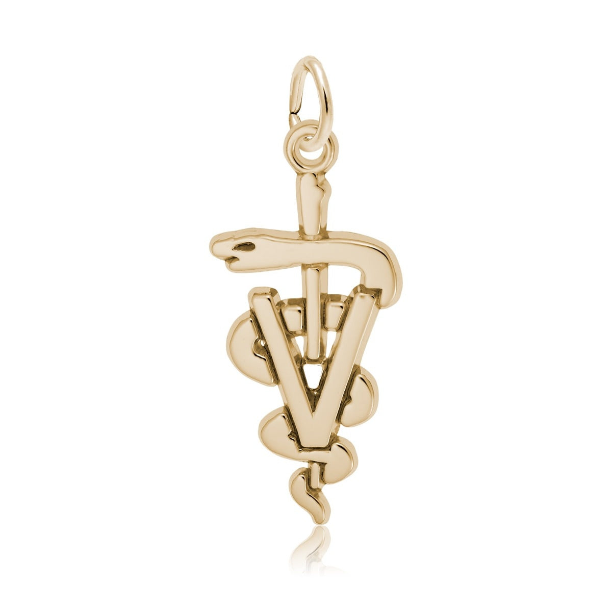 Veterinarian Medical Logo Charm in 14K Yellow Gold