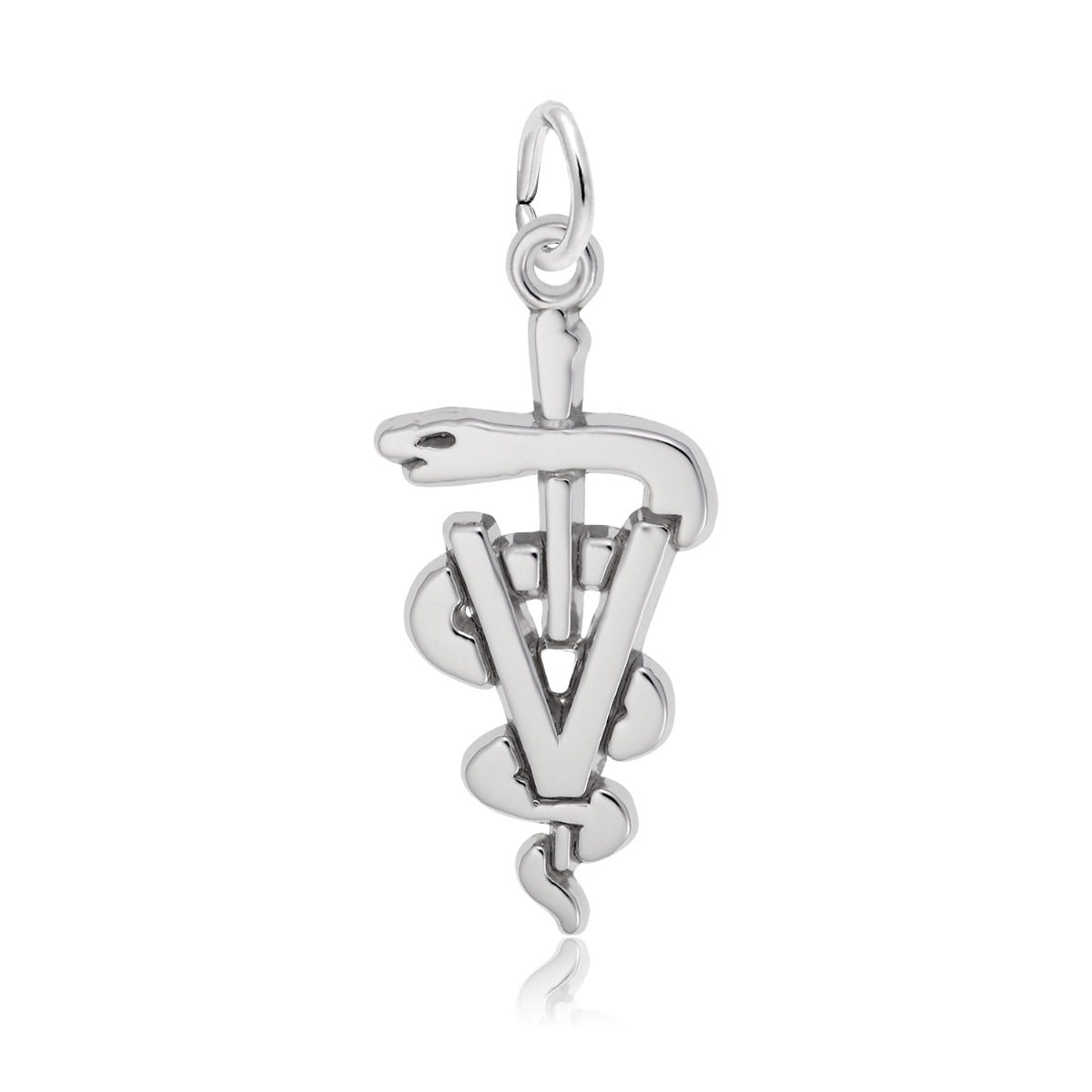 Veterinarian Medical Logo Charm in Sterling Silver