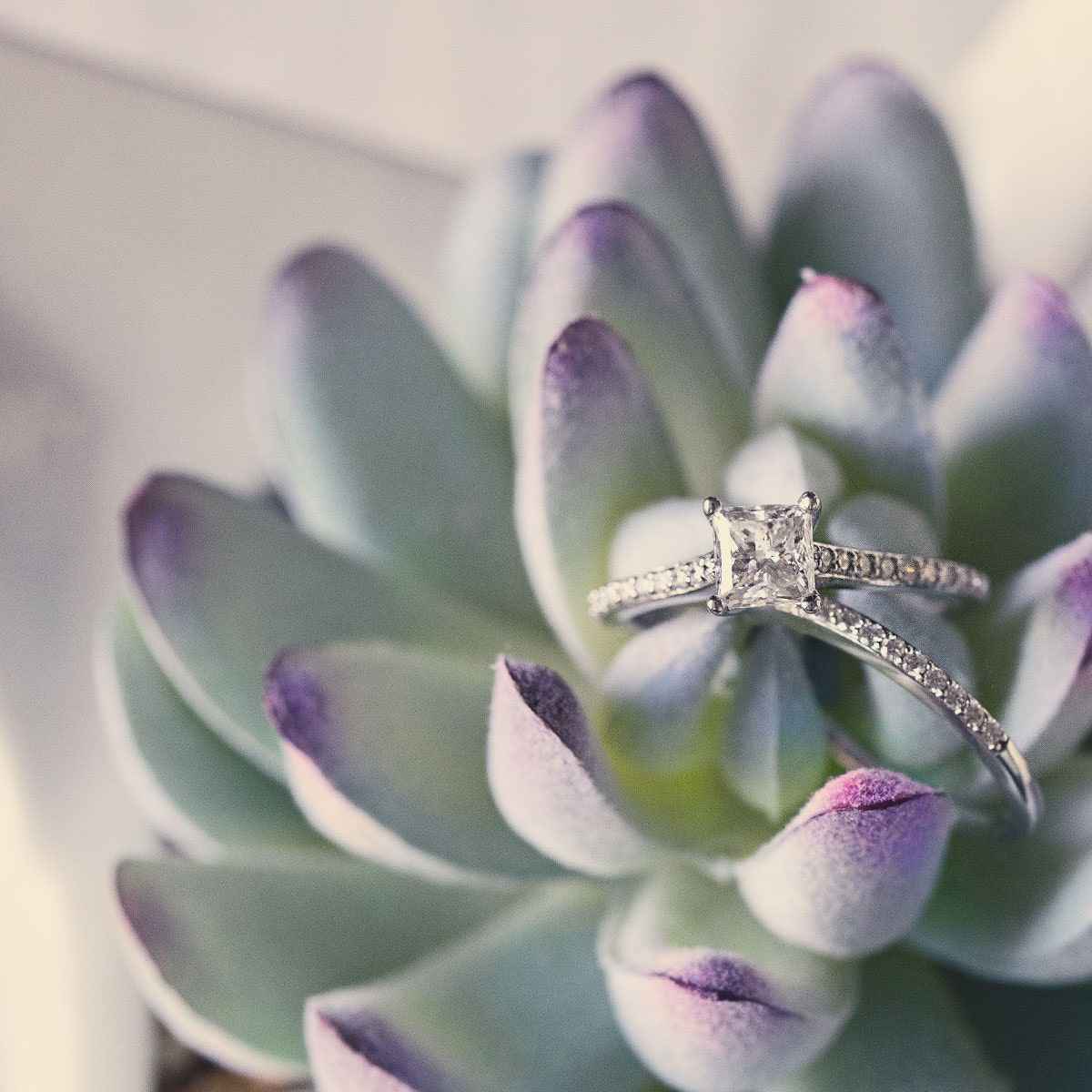 Noventa 1-1/2 ct. tw. Classic Princess Cut Noventa Diamond Wedding Set in 14K White Gold side profile