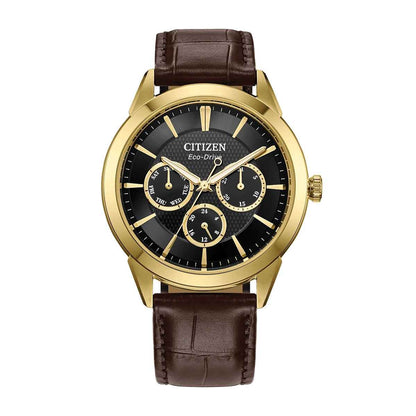 Citizen Men's Rolan Eco-Drive Gold-Tone Stainless Steel Watch with Black Dial & Brown Leather Strap