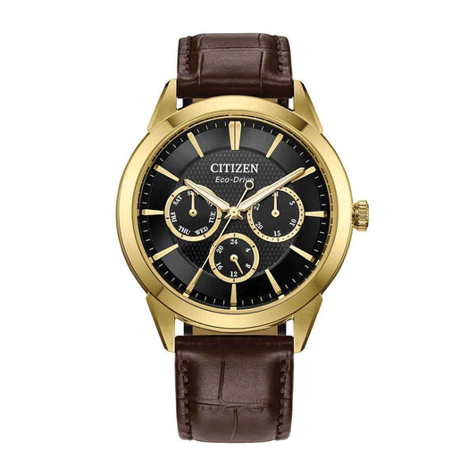 Citizen Men's Rolan Eco-Drive Gold-Tone Stainless Steel Watch with Black Dial & Brown Leather Strap