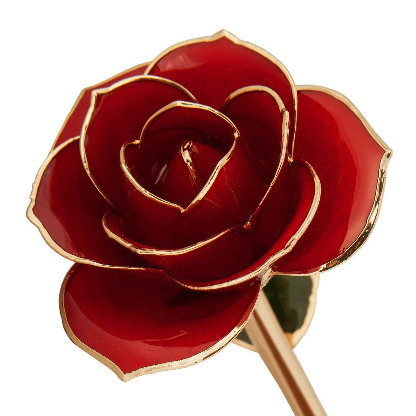 24K Gold Dipped Ravishing Red Rose