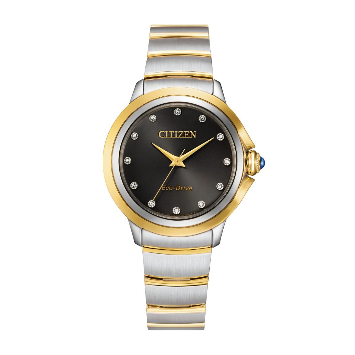 Citizen Ladies' Ceci Two-Tone Stainless Steel Watch with Black Dial