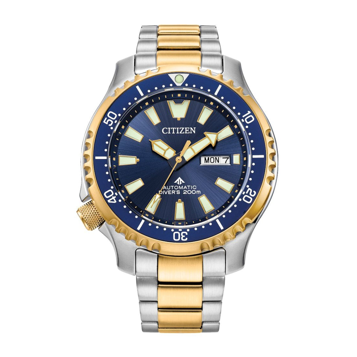 Citizen Men's Promaster Dive Automatic Two-Tone Stainless Steel Watch with Blue Dial